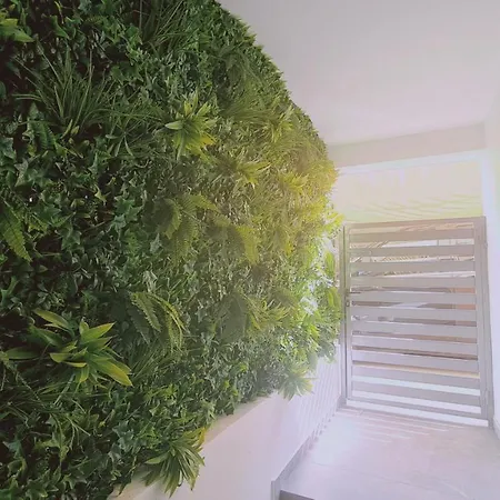 Apartment Zen Studio